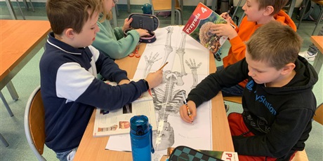 4a poznaje kości układu szkieletowego człowieka