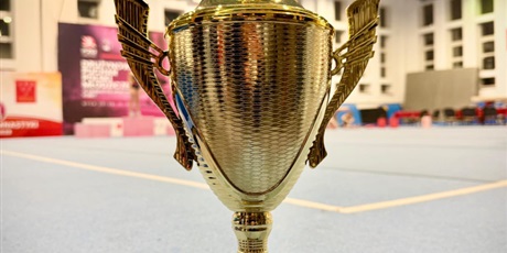 Powiększ grafikę: Puchar