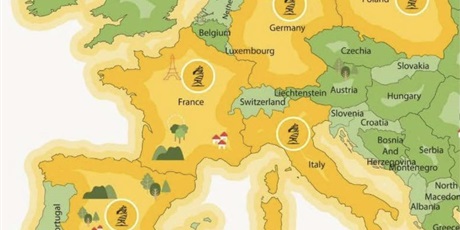 Powiększ grafikę: franek-laureatem-w-konkursie-konik-szachowy-688350.jpg