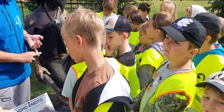 Powiększ grafikę: Półkolonie w naszej szkole