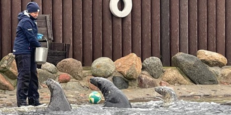 Klasy 5a i 6a w Stacji Morskiej w Helu