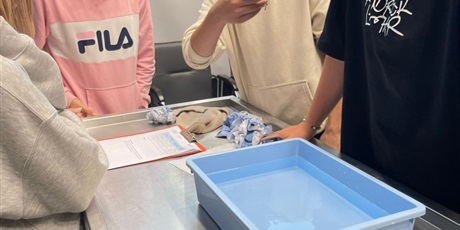 Powiększ grafikę: Uczniowie podczas zajęć