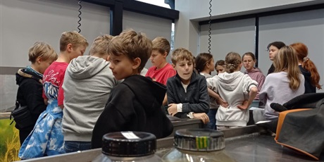 Powiększ grafikę: Uczniowie podczas zajęć