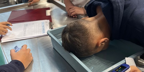 Powiększ grafikę: Uczniowie podczas zajęć