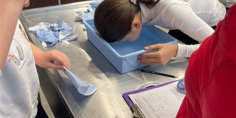 Powiększ grafikę: Uczniowie podczas zajęć