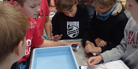 Powiększ grafikę: Uczniowie podczas zajęć