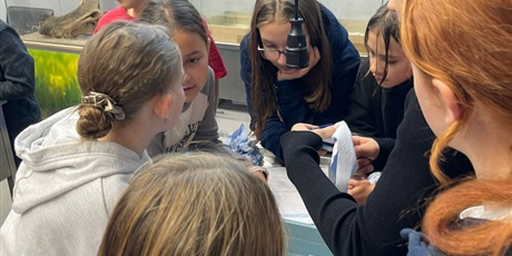 Powiększ grafikę: Uczniowie podczas zajęć