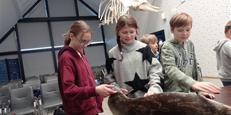 Powiększ grafikę: Uczniowie podczas zajęć