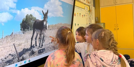 Kolejna prezentacja w zerówce