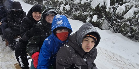 Powiększ grafikę: kulig-674935.jpg