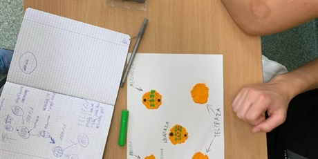 Lekcja biologii