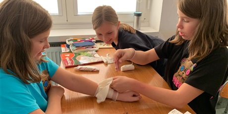 Lekcja przyrody w klasie 4