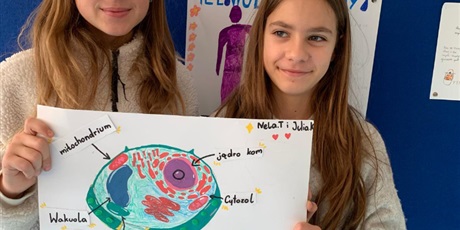 Powiększ grafikę: Uczniowie podczas zajęć