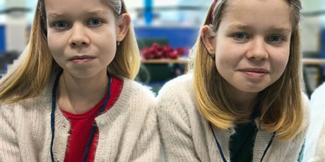 Powiększ grafikę: Udział uczennic w konkursie