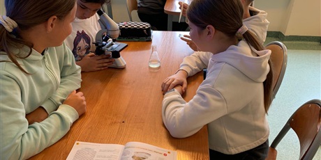 Powiększ grafikę: Lekcja biologii w klasie 5.