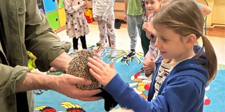 Powiększ grafikę: Zajęcia w zerówce.