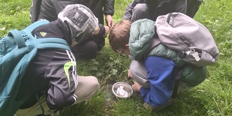 Powiększ grafikę: Uczniowie 7b podczas warsztatów