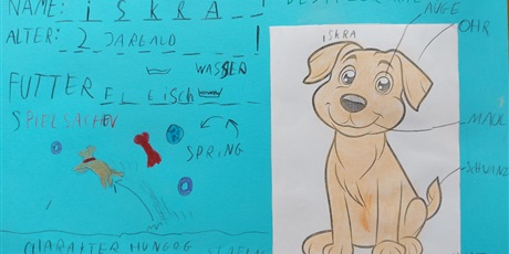 Powiększ grafikę: Prace uczniów