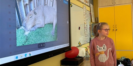 Powiększ grafikę: Zajęcia w zerówce