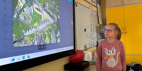 Powiększ grafikę: Zajęcia w zerówce