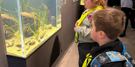 Powiększ grafikę: Półkolonie w naszej szkole