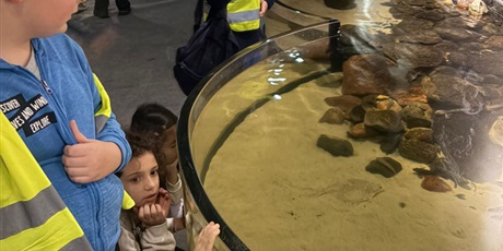 Powiększ grafikę: Półkolonie w naszej szkole