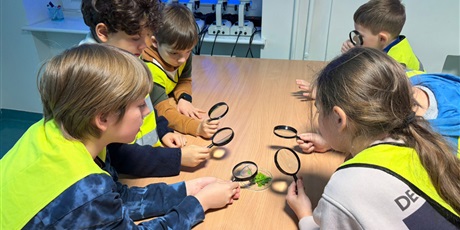 Powiększ grafikę: Półkolonie w naszej szkole