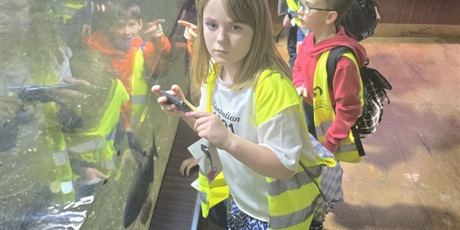 Powiększ grafikę: Półkolonie w naszej szkole