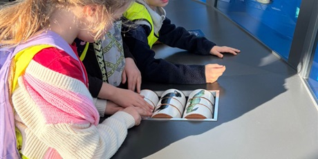 Powiększ grafikę: Półkolonie w naszej szkole