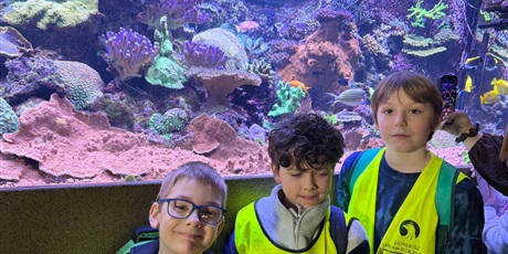 Powiększ grafikę: Półkolonie w naszej szkole