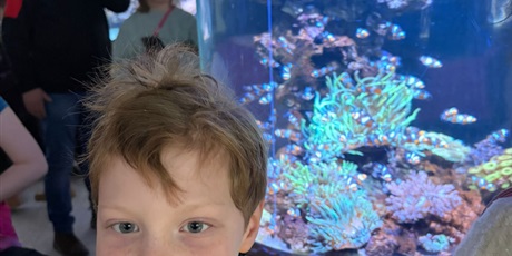 Powiększ grafikę: Półkolonie w naszej szkole