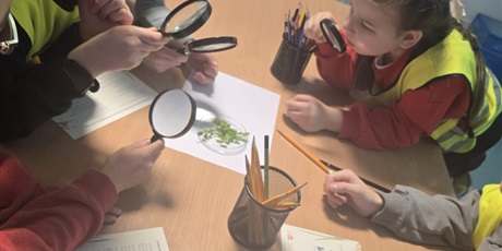 Powiększ grafikę: Półkolonie w naszej szkole