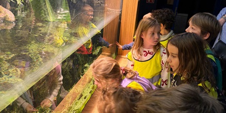 Powiększ grafikę: Półkolonie w naszej szkole