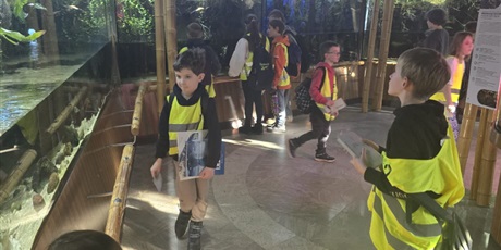 Powiększ grafikę: Półkolonie w naszej szkole