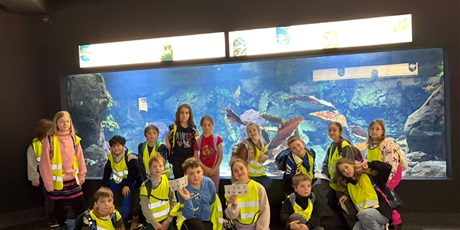 Powiększ grafikę: Półkolonie w naszej szkole