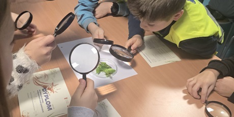 Powiększ grafikę: Półkolonie w naszej szkole