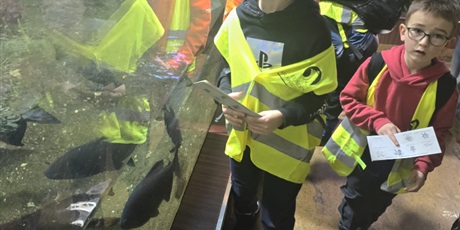 Powiększ grafikę: Półkolonie w naszej szkole