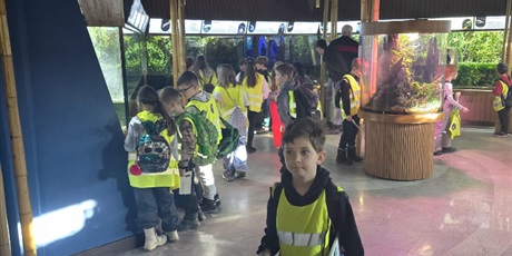 Powiększ grafikę: Półkolonie w naszej szkole