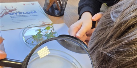 Powiększ grafikę: Półkolonie w naszej szkole