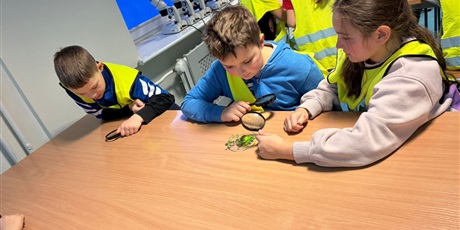 Powiększ grafikę: Półkolonie w naszej szkole