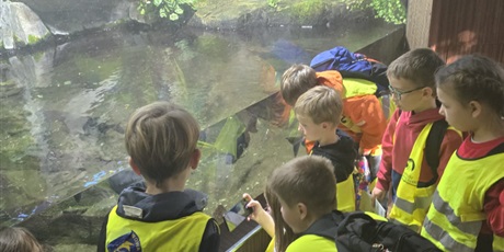 Powiększ grafikę: Półkolonie w naszej szkole