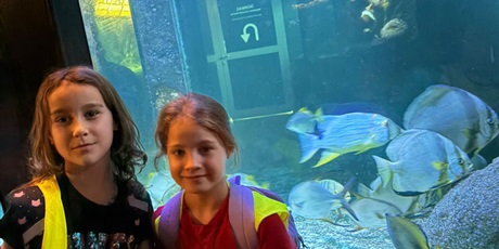 Powiększ grafikę: Półkolonie w naszej szkole