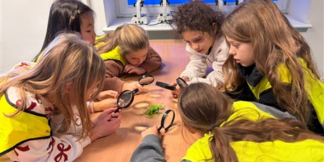 Powiększ grafikę: Półkolonie w naszej szkole