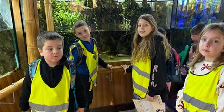 Powiększ grafikę: Półkolonie w naszej szkole