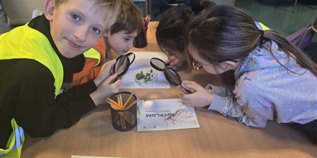 Powiększ grafikę: Półkolonie w naszej szkole