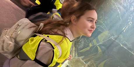 Powiększ grafikę: Półkolonie w naszej szkole