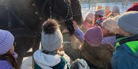 Powiększ grafikę: Półkolonie w naszej szkole