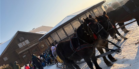 Powiększ grafikę: Półkolonie w naszej szkole