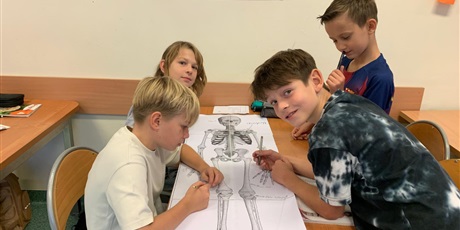 Poznajemy kości i stawy