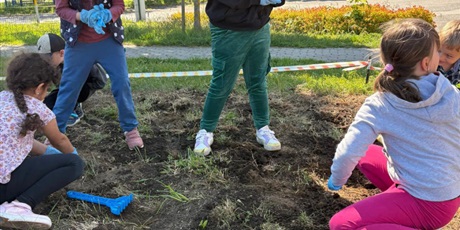Powiększ grafikę: Uczniowie podczas siania łąki